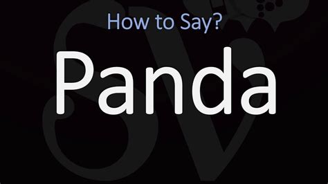 panda pronunciation|how do you spell panda.